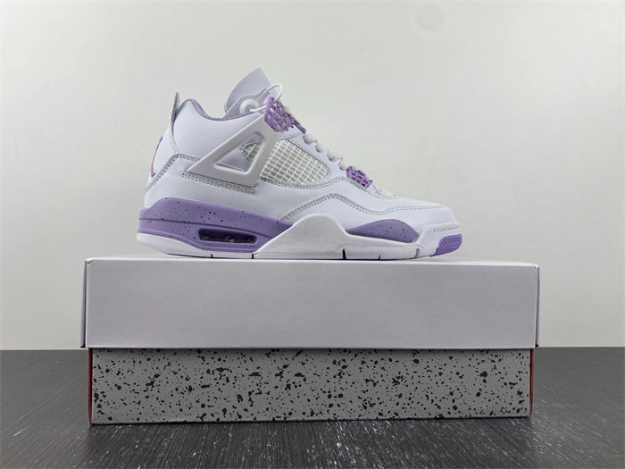 Packable Air Jordan 4 CT8527- 3931