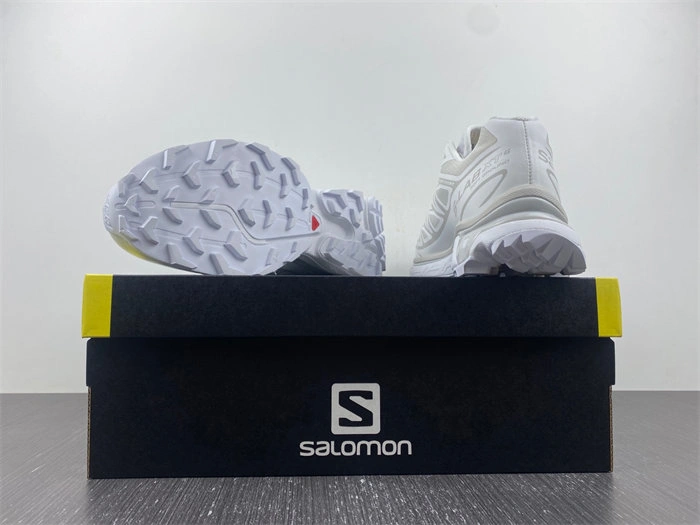 Salomon XT-6 White Lunar Rock Snug 5959